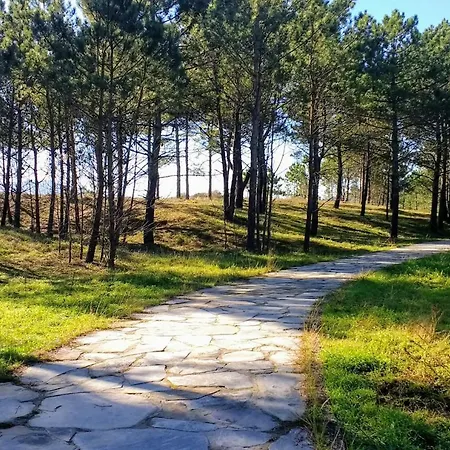 אכסניה San Roque לוגו